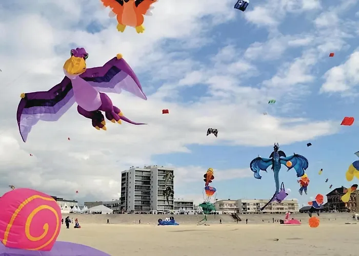 Cozy In With Wifi Appartement
